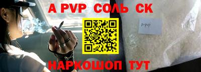 СК Новодвинск
