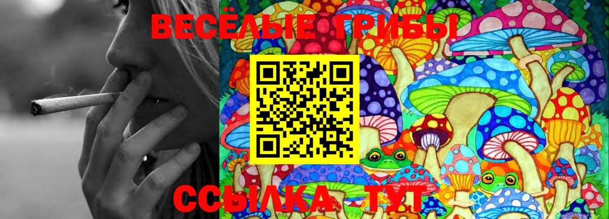 Псилоцибиновые грибы Psilocybine cubensis Тулун