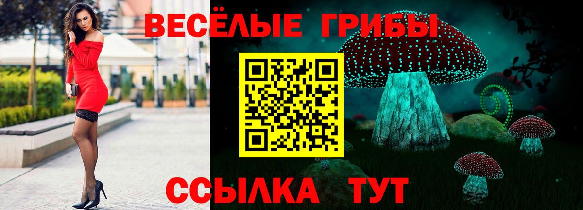 Псилоцибиновые грибы прущие грибы  Вход с VPN  Тулун 